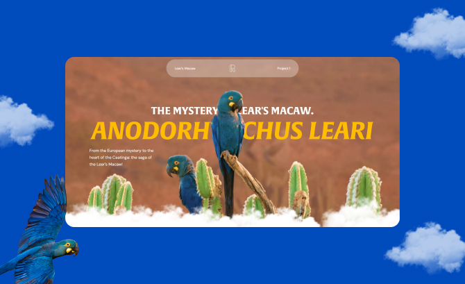 The Mystery of Lear's Macaw